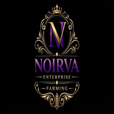 Noirva Enterprise