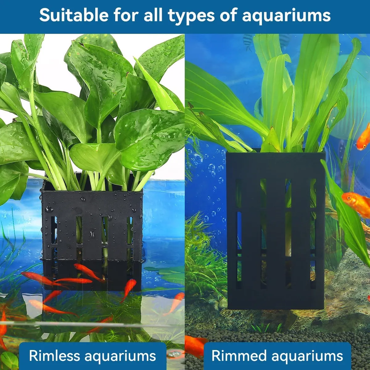 VAYINATO 2 Pcs Black Hanging Water Plant Holder (Box Type) Pot For Aquarium Fish Tank