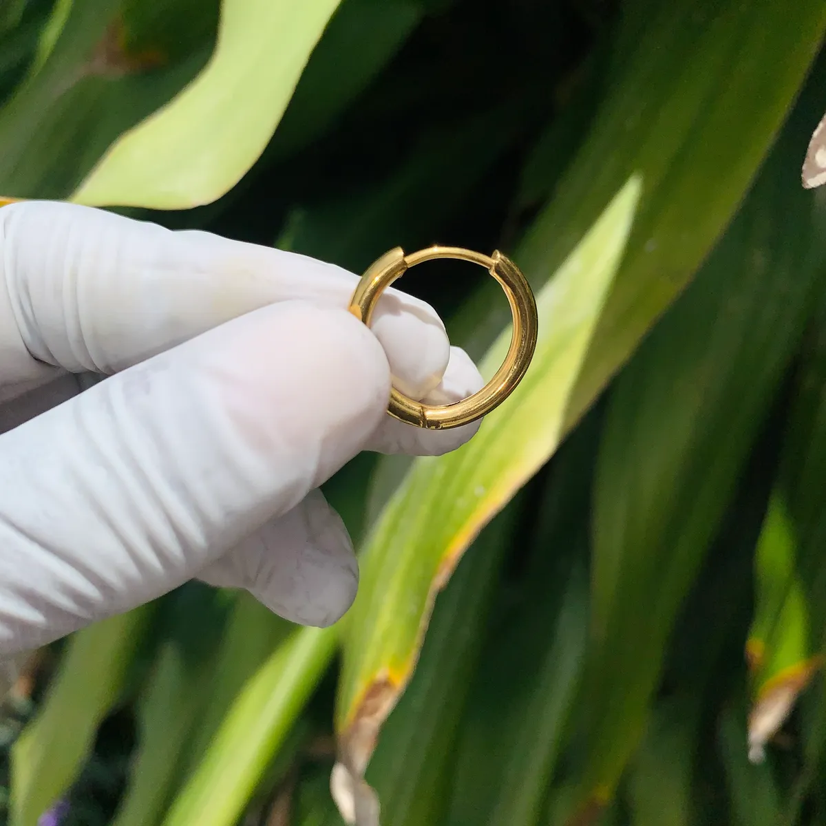 Stainless Steel Earrings , Gold