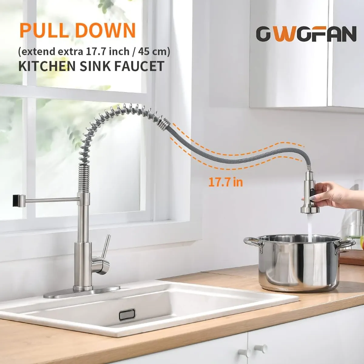 Kitchen Faucet with Pull Down