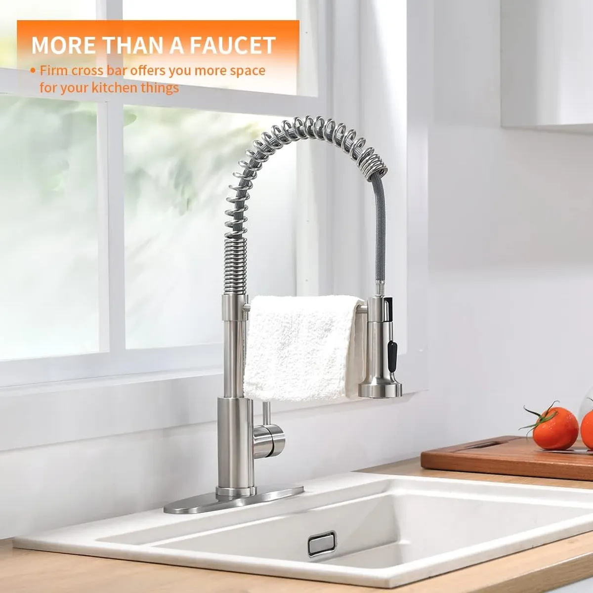 Kitchen Faucet with Pull Down