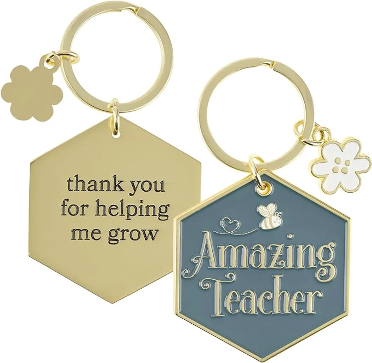 Amazing Teacher Blue Metal Keychain with Charm