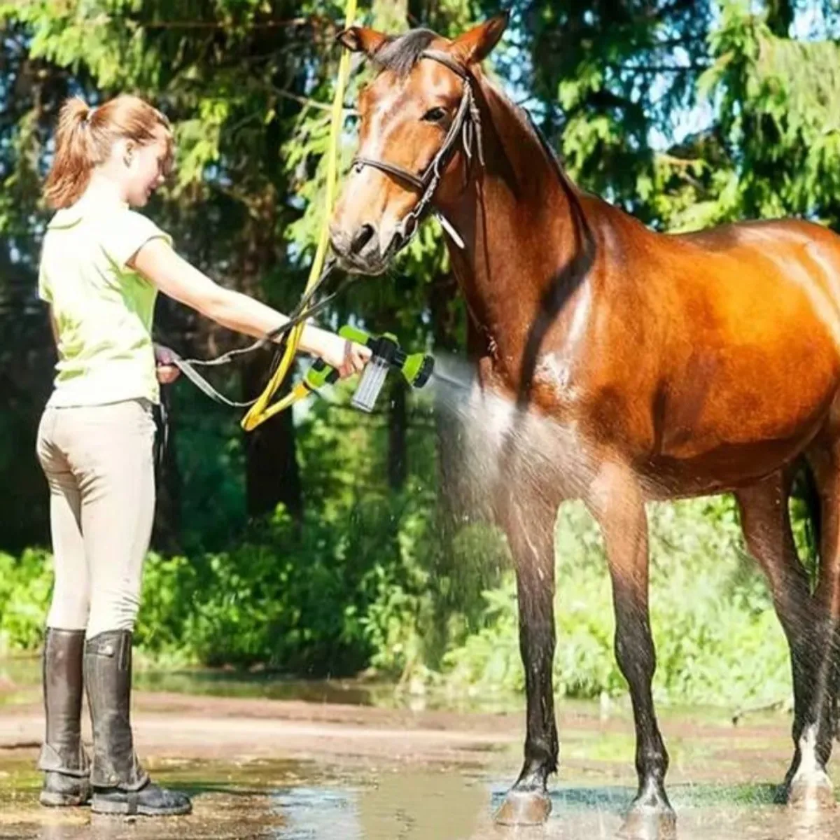1pc 8-In-1 Outdoor Horse/Dog Washer And Garden Hose Nozzle - Perfect For Pet Baths, Watering Flowers, And Washing Cars