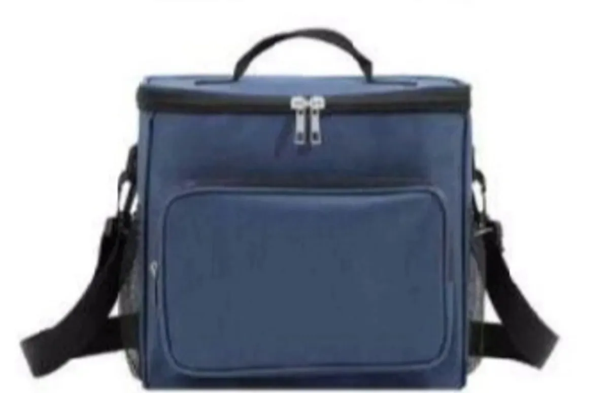 Assorted Insulated Lunch bag , Blue