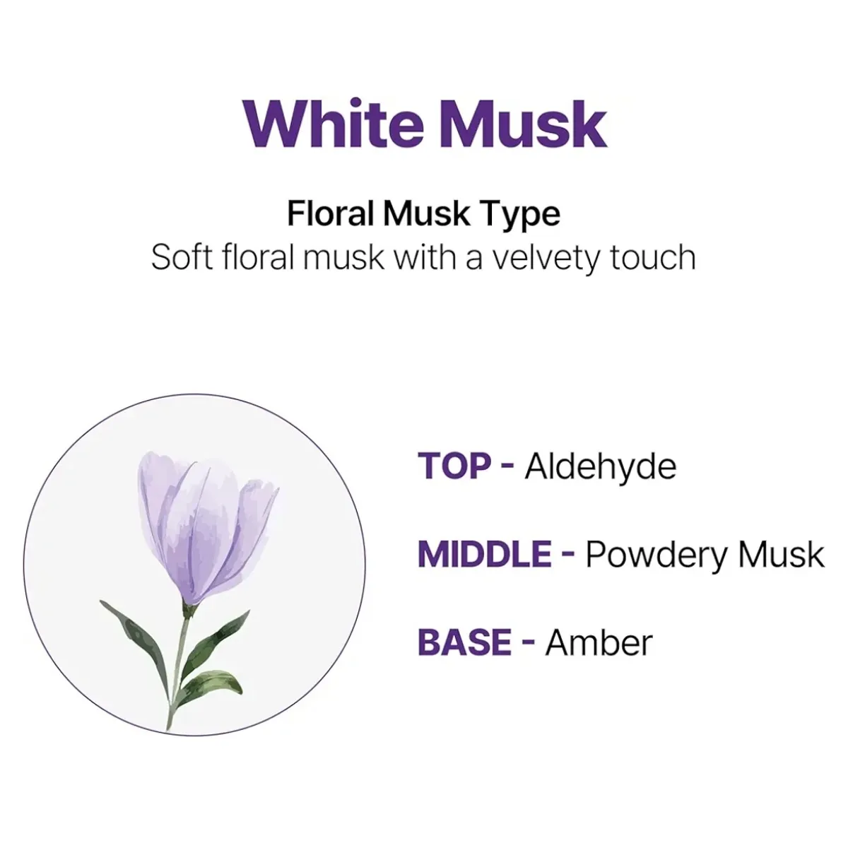 KUNDAL 
Korean Shampoo And Conditioner Set - White Musk