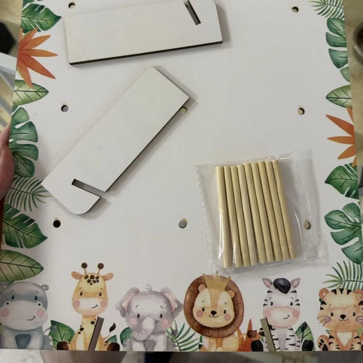 Jungle Theme First Birthday Set
