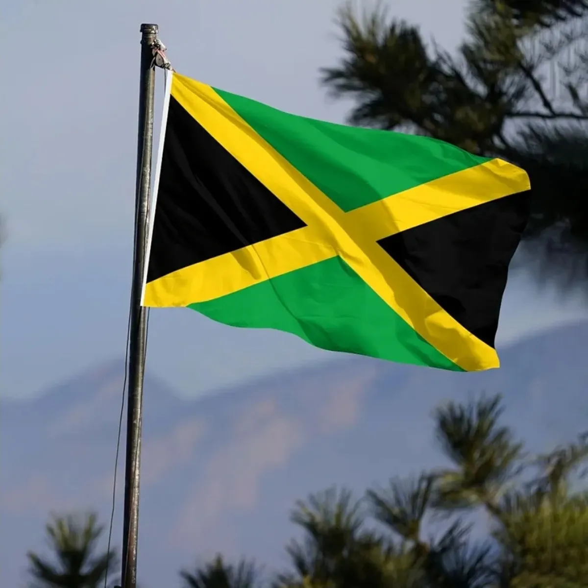 Jamaican Flag 3x5ft Polyester Jamaican Flag