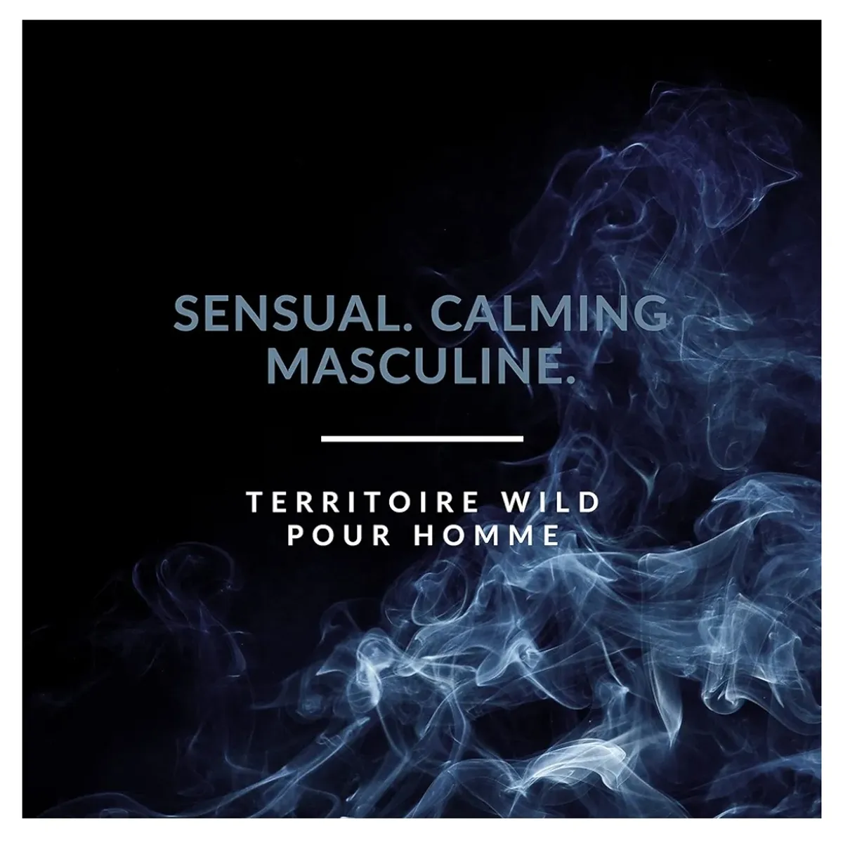 Territoire Eau De Parfum, Men's Cologne (Wild)