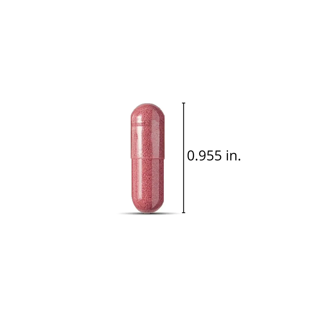 Cranberry Vegetarian Dietary Supplement - 150 Capsules