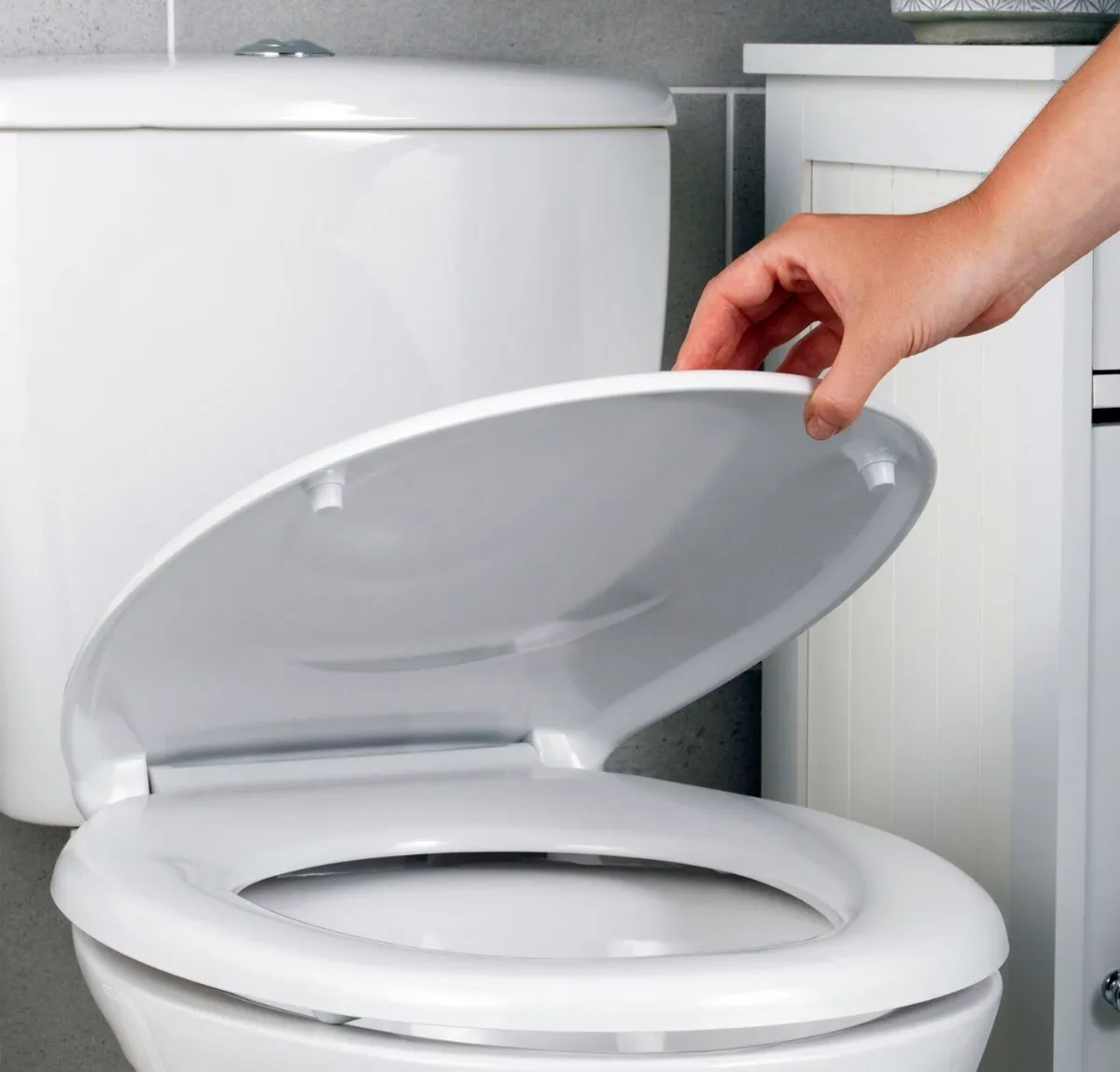 Toilet seat