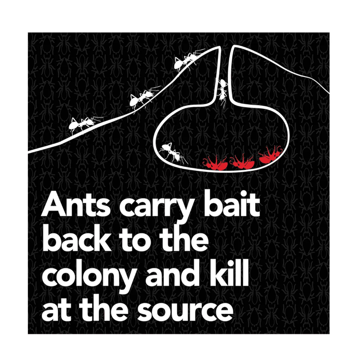 Raid Max Liquid Ant Bait (4 bait stations)
