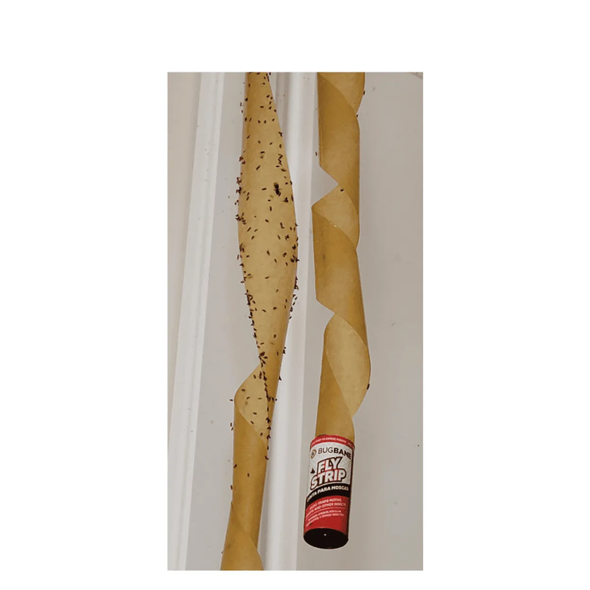 Fly Strips Indoor Sticky Hanging 24pk with Pins
