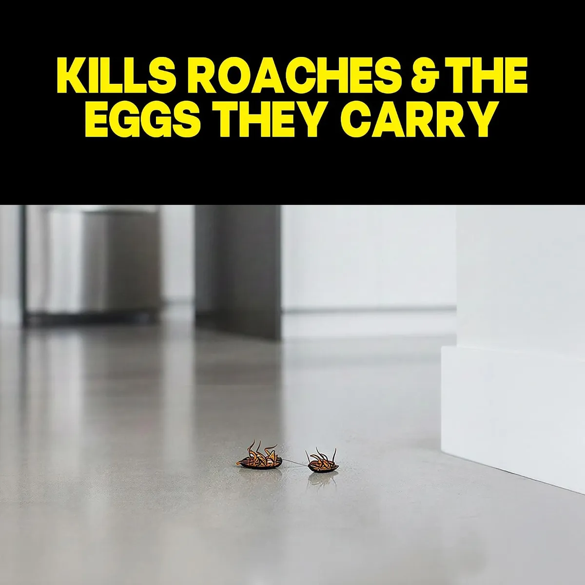 Raid Large Roach Baits, Kills Roaches for 3 Months, 4pk
