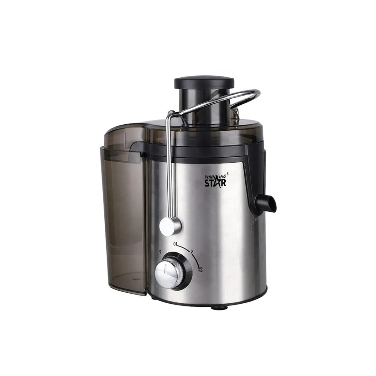 3000W Electric Juicer