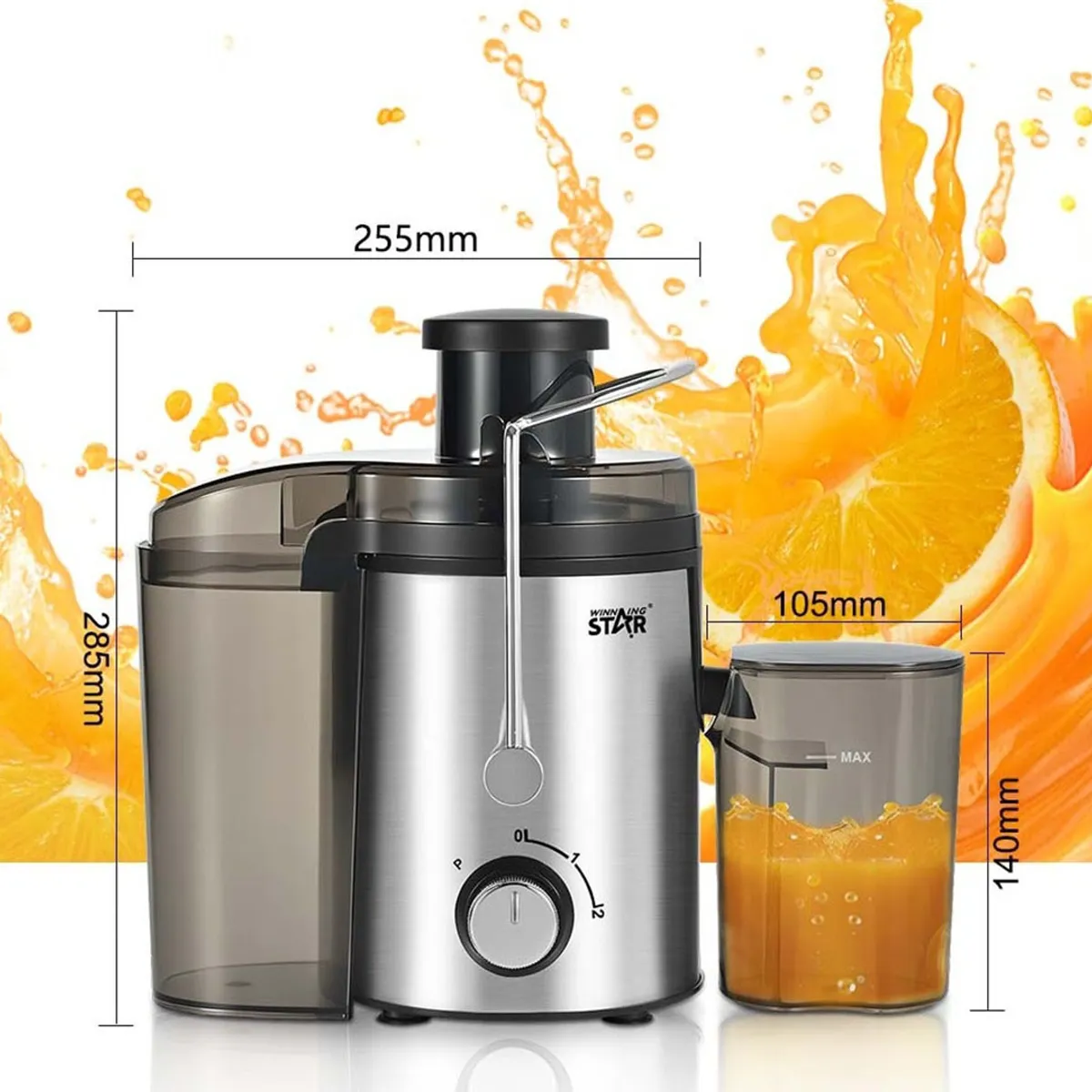 3000W Electric Juicer