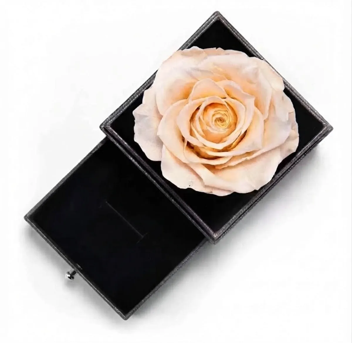 Preserved Rose With Silver-Tone Heart Necklace I Love You Gift Card Set