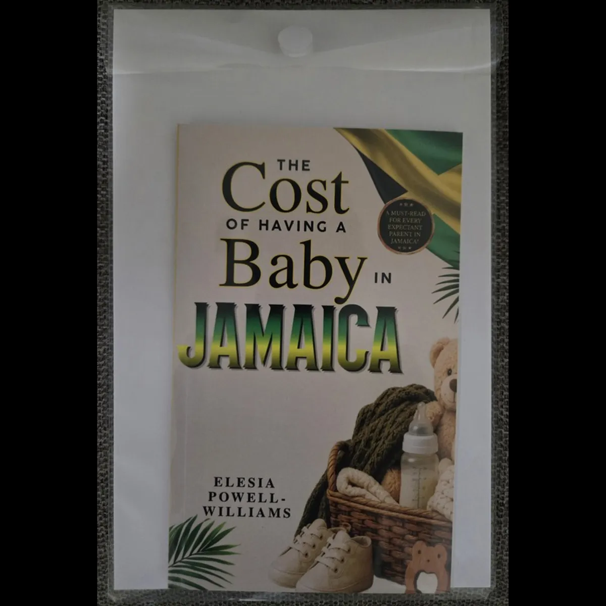 The Cost of Having a Baby in Jamaica