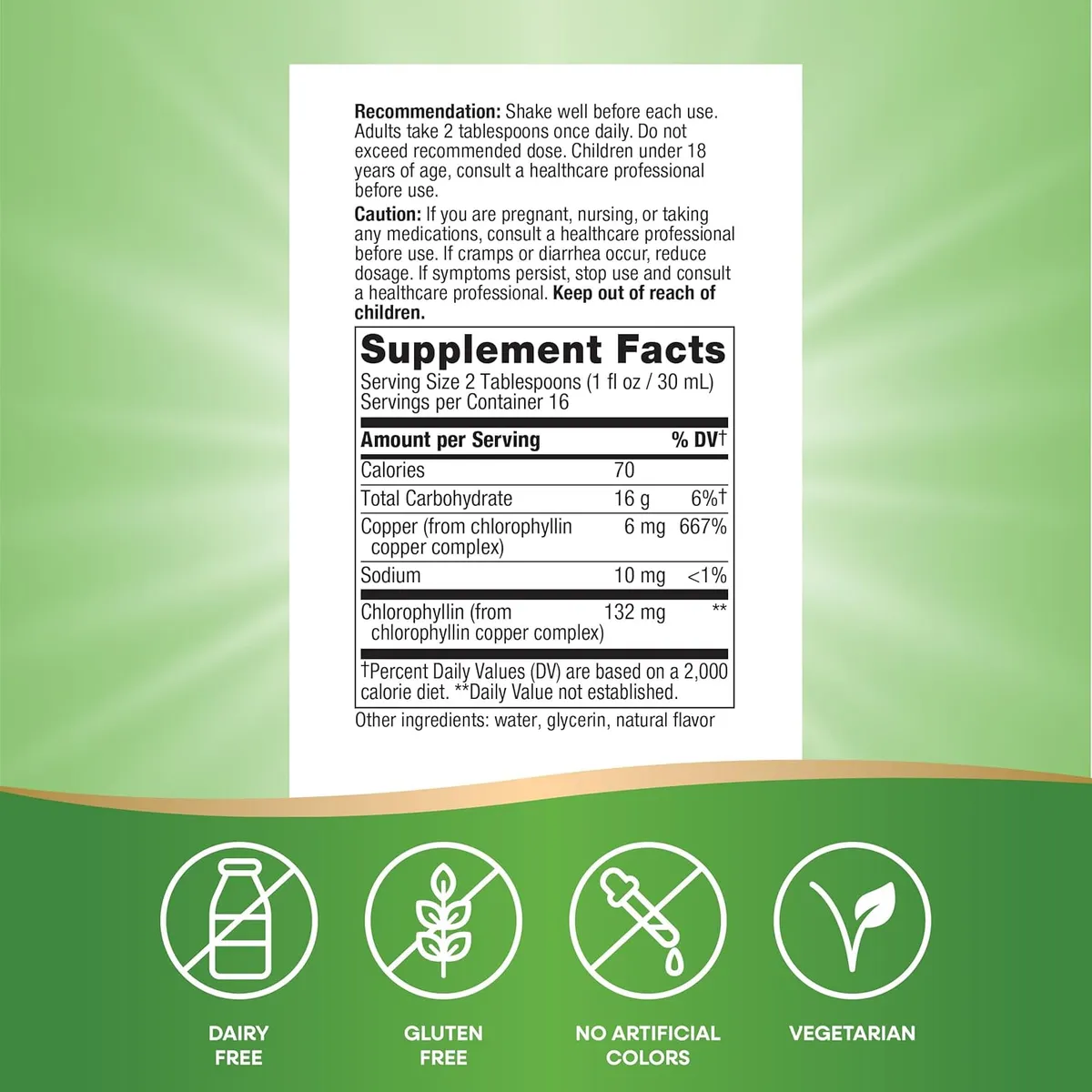 Nature's Way Chlorofresh, Liquid Chlorophyll, Supports Healthy Skin & Body Detox*, Internal Deodorant*, Supports Liver Detoxification Pathways*, Mint Flavored, 16 Fl. Oz