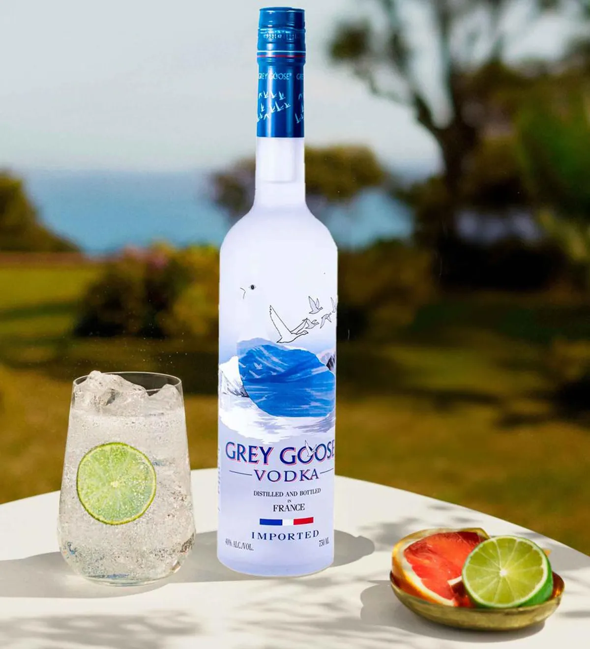 Grey Goose Vodka - 750.0 mL