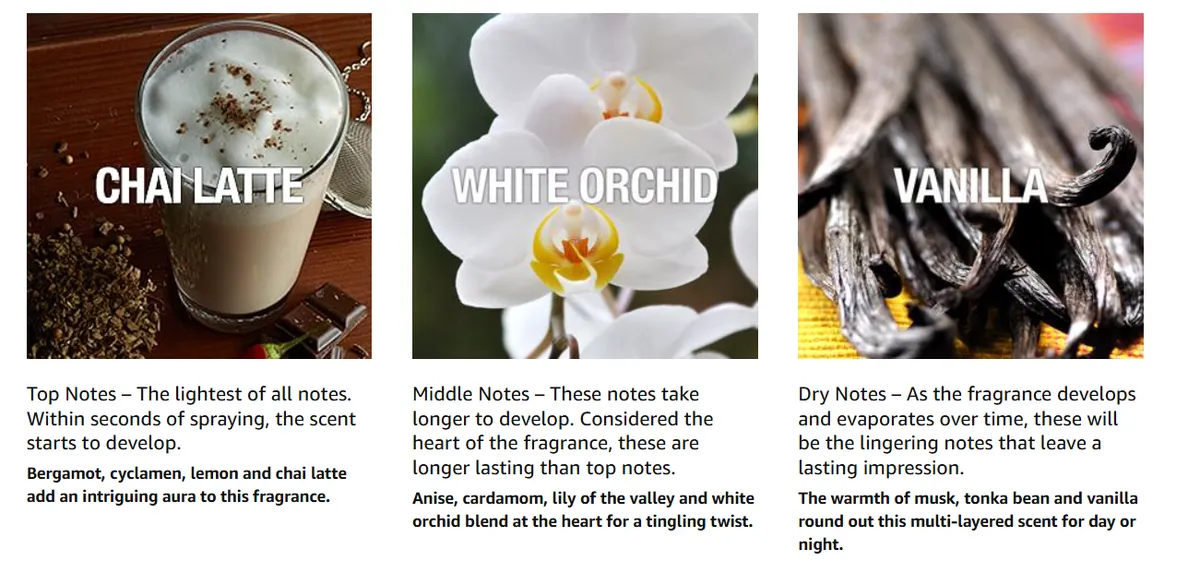 Curve Crush Perfume Fragrance Mist 4 Piece Gift Set for Women